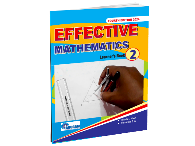 Effective Mathematics 2